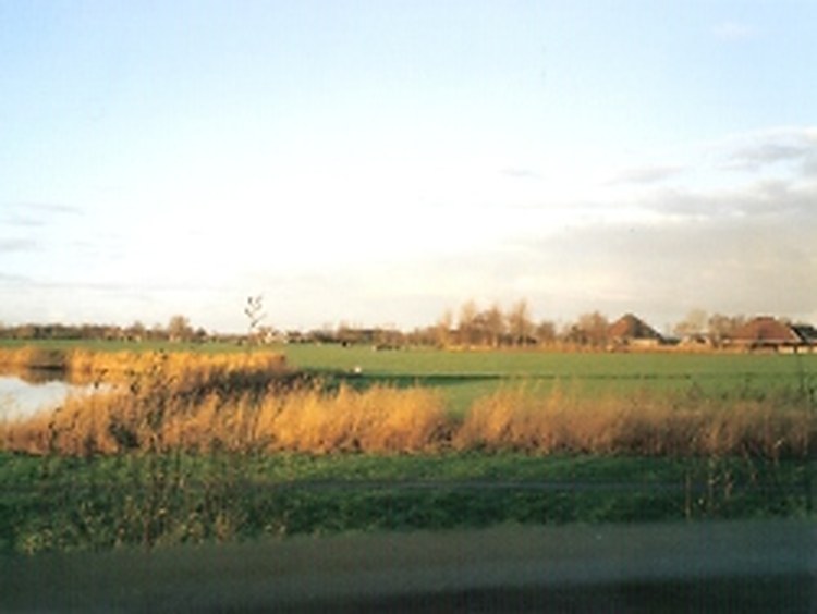 Avondlicht over de polder